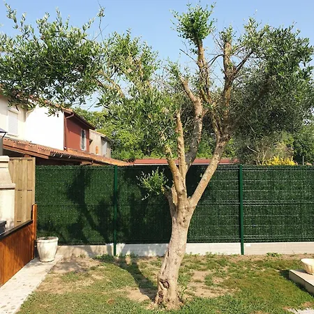 Prázdninový dům Warm House Close To Amenities Tarnos